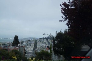 thekumachan_SF_Lombard_Street-5