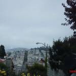 thekumachan_SF_Lombard_Street-6