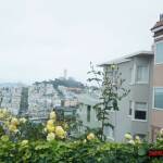 thekumachan_SF_Lombard_Street-9