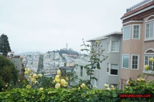 thekumachan_SF_Lombard_Street-9