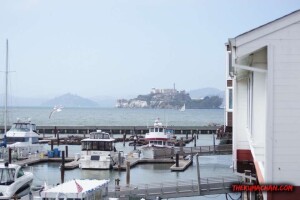 thekumachan_alcatraz-2