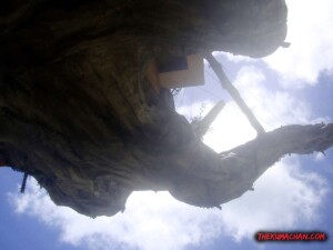 thekumachan_banyan_town_restaurant_naha_okinawa-2