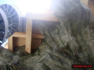 thekumachan_banyan_town_restaurant_naha_okinawa-4