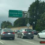 thekumachan_crenshaw-1