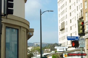 thekumachan_hollywood_sign-02