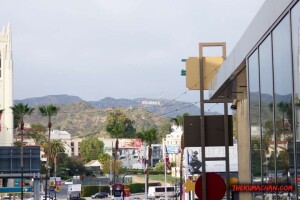 thekumachan_hollywood_sign-04