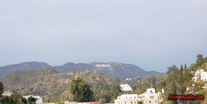 thekumachan_hollywood_sign-05