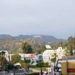 thekumachan_hollywood_sign-06