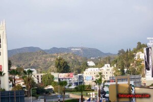 thekumachan_hollywood_sign-06