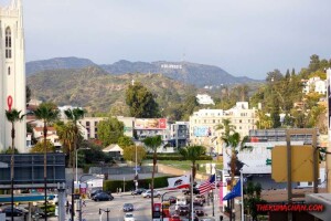 thekumachan_hollywood_sign-07