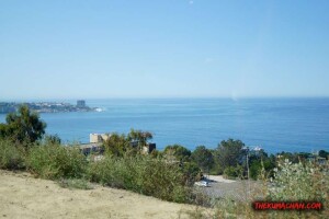 thekumachan_la_jolla_san_diego_california-10