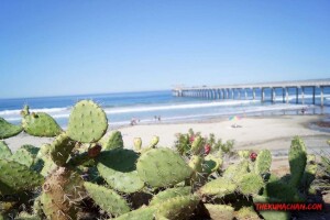 thekumachan_la_jolla_san_diego_california-4