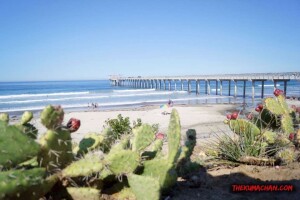 thekumachan_la_jolla_san_diego_california-5