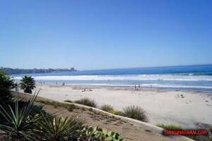 thekumachan_la_jolla_san_diego_california-7