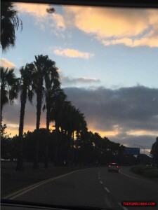 thekumachan_ocean_beach_california-10