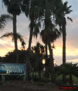 thekumachan_ocean_beach_california-14