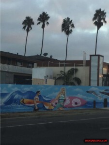 thekumachan_ocean_beach_california-15