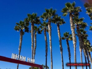 thekumachan_Imperial_Beach_CA-11