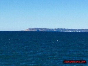 thekumachan_Imperial_Beach_CA-3