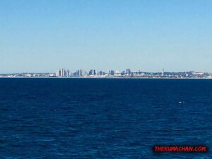 thekumachan_Imperial_Beach_CA-4