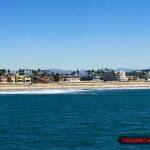 thekumachan_Imperial_Beach_CA-5