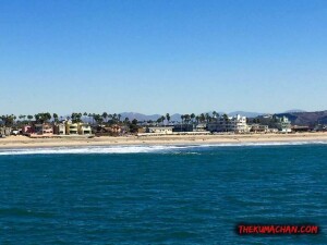 thekumachan_Imperial_Beach_CA-5