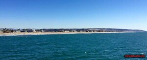 thekumachan_Imperial_Beach_CA-6
