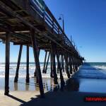 thekumachan_Imperial_Beach_CA-7