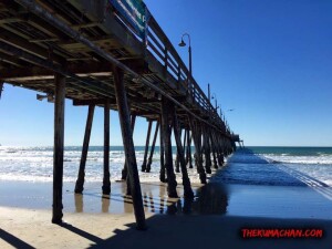 thekumachan_Imperial_Beach_CA-7