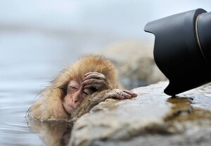 hungover6