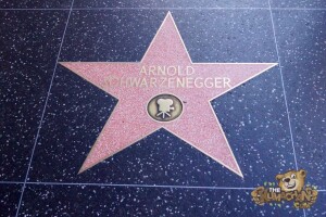 thekumachan_2016_Arnold_Schwarzenegger_star