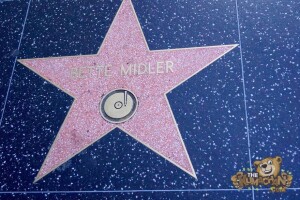 thekumachan_2016_Bette_Midler_star