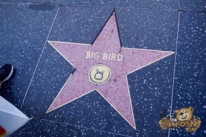 thekumachan_2016_Big_Bird_star