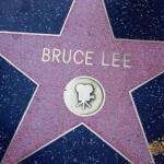 thekumachan_2016_Bruce_Lee_star