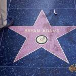 thekumachan_2016_Bryan_Adams_star