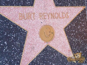 thekumachan_2016_Burt_Reynolds_star