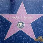 thekumachan_2016_Charlie_Sheen_star