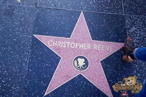 thekumachan_2016_Christopher_Reeve_star