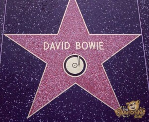 thekumachan_2016_David_Bowie_star