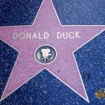 thekumachan_2016_Donald_Duck_star