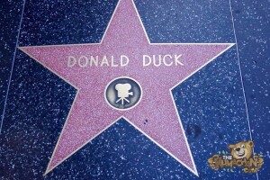 thekumachan_2016_Donald_Duck_star