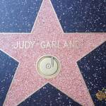 thekumachan_2016_Judy_Garland_star