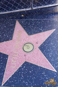 thekumachan_2016_Little_Richard_star