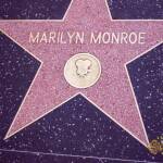 thekumachan_2016_Marilyn_Monroe_star