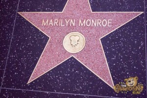 thekumachan_2016_Marilyn_Monroe_star