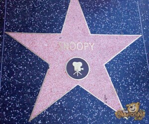 thekumachan_2016_Snoopy_star