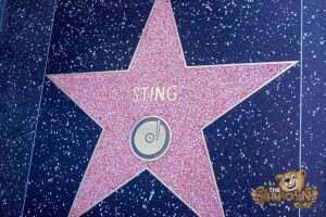 thekumachan_2016_Sting_star