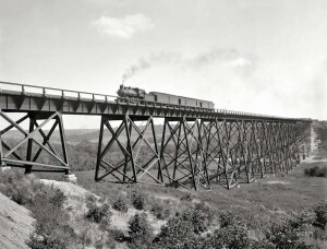 thekumachan_100_year_old_USA_photos-11