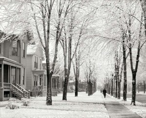 thekumachan_100_year_old_USA_photos-27