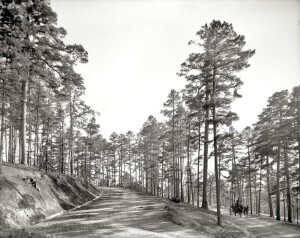 thekumachan_100_year_old_USA_photos-29